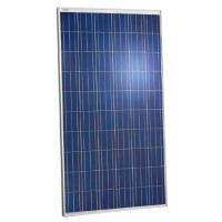 Солнечная батарея (панель) 250Вт, поликристаллическая PLM-250P-60, Perlight Solar Солнечная батарея (панель) 250Вт, поликристаллическая PLM-250P-60, Perlight Solar