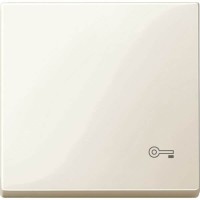 Клавіша з піктограмою «ключ» Merten System M. Колір Бежевий MTN3303-0344 