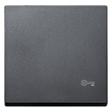 Клавіша з піктограмою «ключ» Merten System M. Колір Антрацит MTN3303-0414