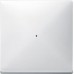 Клавіша для модуля 1-кнопкового вимикача KNX Merten System Design. Колір Полярно-Білий MTN626119 