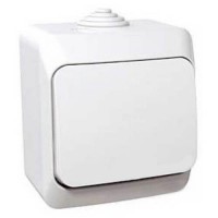 Одноклавишный наружный переключатель 16A Cedar Plus. Белый. WDE000560