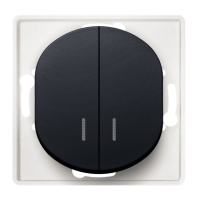 Выключатель двойной с индикатором Aling Conel EON Черный (E626.E1)