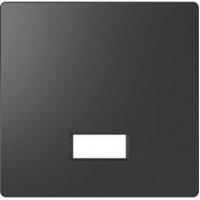 MTN3350-6034 Клавиша одинарная с полем для символа Merten D-Life "Антрацит"