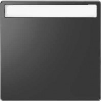 MTN3360-6034 Клавиша одинарная с полем для надписи Merten D-Life "Антрацит" MTN3360-6034 Клавиша одинарная с полем для надписи Merten D-Life "Антрацит"