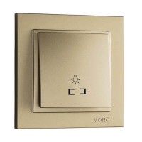 Кнопка для світла з підсвічуванням серії Despina (Mono Electric). Колір Титан