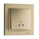 Кнопка для світла з підсвічуванням серії Despina (Mono Electric). Колір Титан