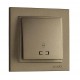 Вимикач одноклавішний прохідний з підсвіткою серії Despina (Mono Electric). Колір Бронза